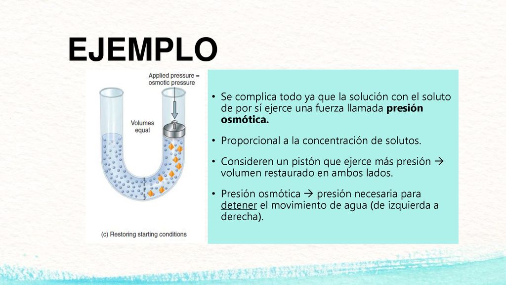 EJEMPLO Se complica todo ya que la solución con el soluto de por sí ejerce una fuerza llamada presión osmótica.