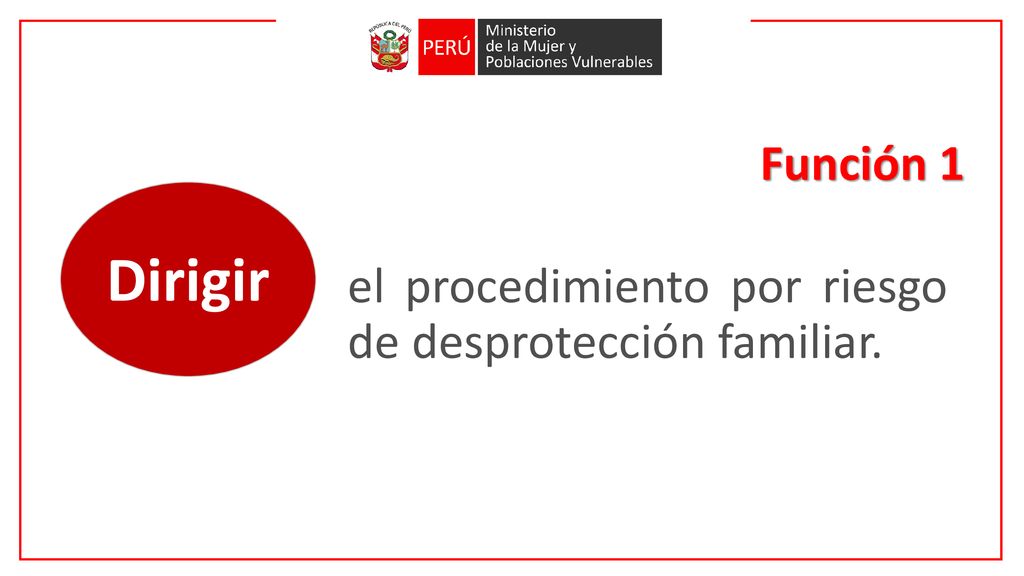 Función 1 Dirigir el procedimiento por riesgo de desprotección familiar.