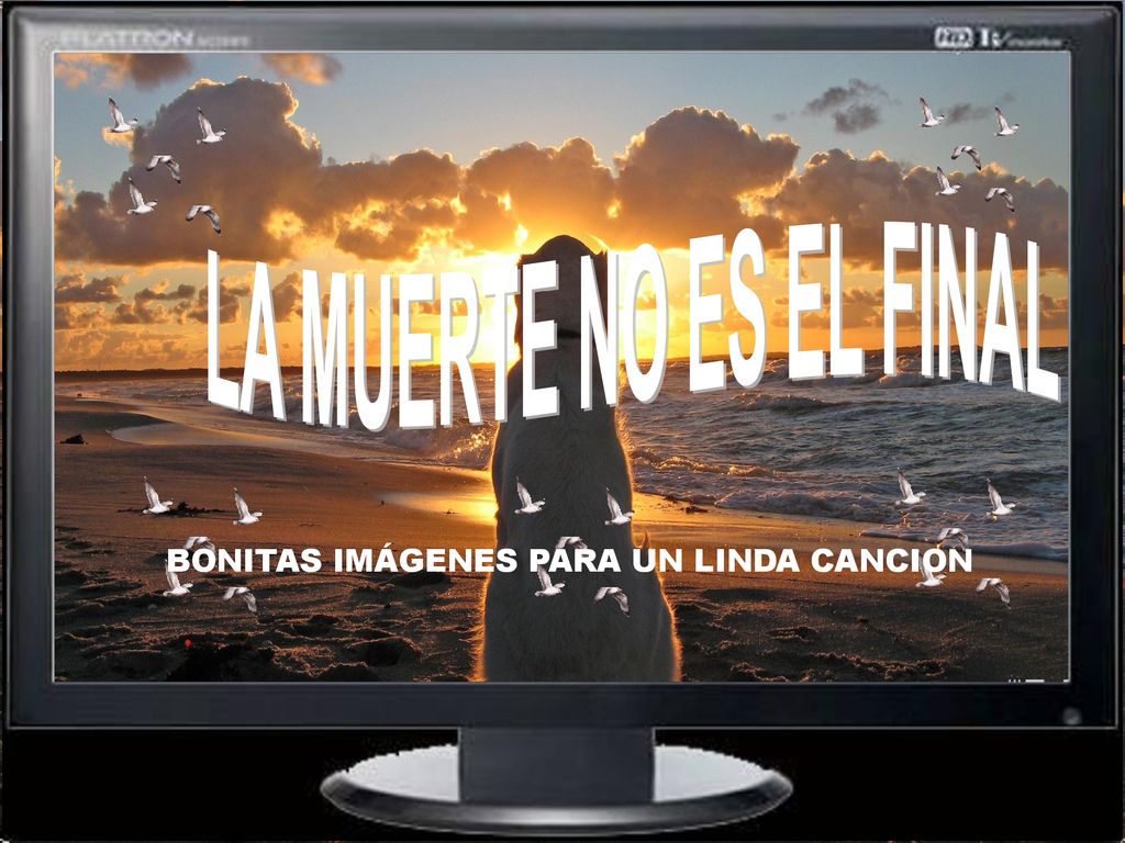 LA MUERTE NO ES EL FINAL BONITAS IMÁGENES PARA UN LINDA CANCION