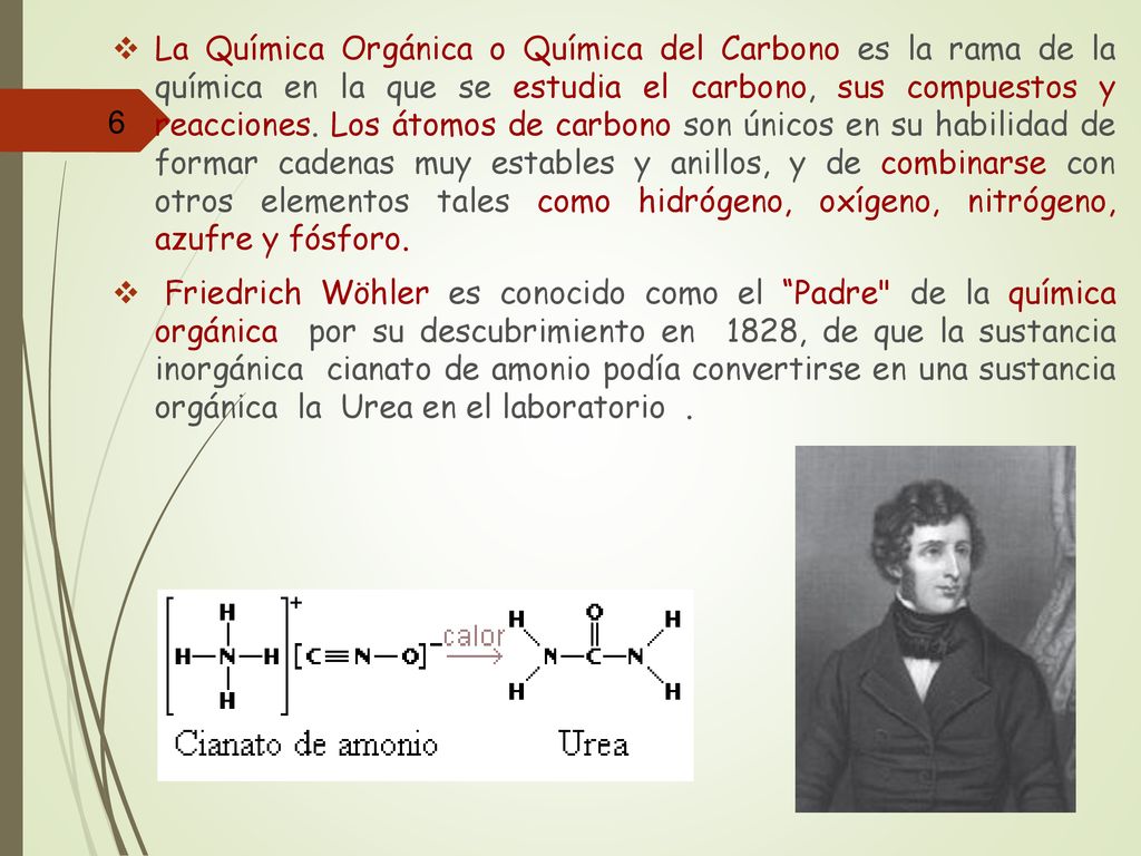 La Química Orgánica o Química del Carbono es la rama de la química en la que se estudia el carbono, sus compuestos y reacciones. Los átomos de carbono son únicos en su habilidad de formar cadenas muy estables y anillos, y de combinarse con otros elementos tales como hidrógeno, oxígeno, nitrógeno, azufre y fósforo.