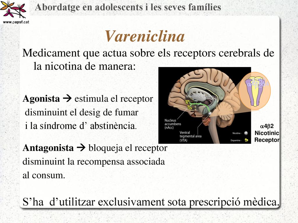 Vareniclina Medicament que actua sobre els receptors cerebrals de la nicotina de manera: Agonista  estimula el receptor.