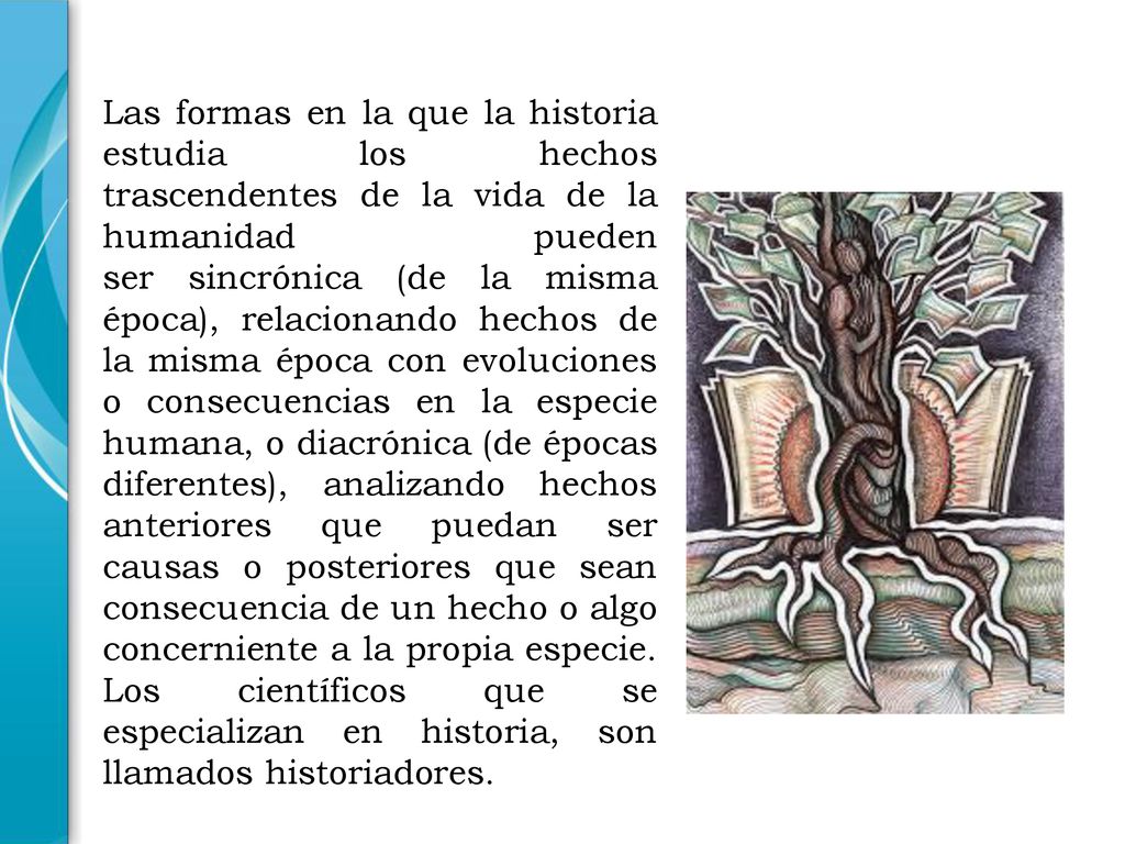 Las formas en la que la historia estudia los hechos trascendentes de la vida de la humanidad pueden ser sincrónica (de la misma época), relacionando hechos de la misma época con evoluciones o consecuencias en la especie humana, o diacrónica (de épocas diferentes), analizando hechos anteriores que puedan ser causas o posteriores que sean consecuencia de un hecho o algo concerniente a la propia especie.