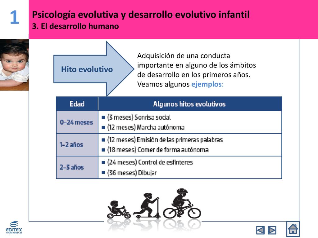 1 Psicología evolutiva y desarrollo evolutivo infantil 3. El desarrollo humano. Hito evolutivo.