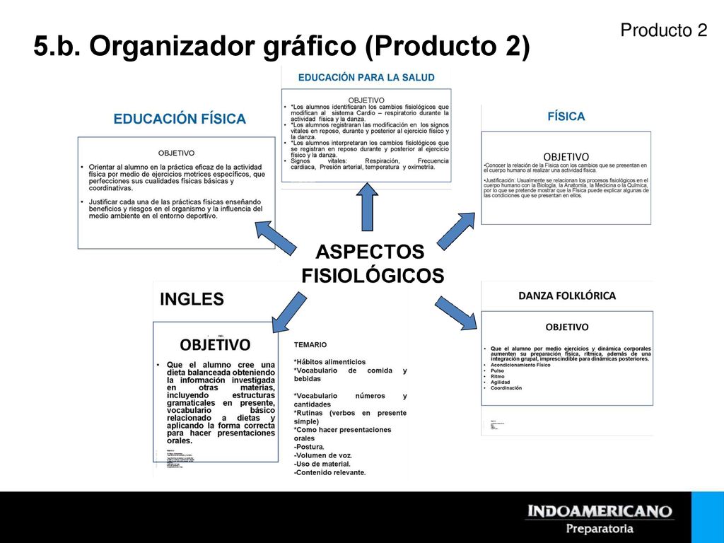 5.b. Organizador gráfico (Producto 2)