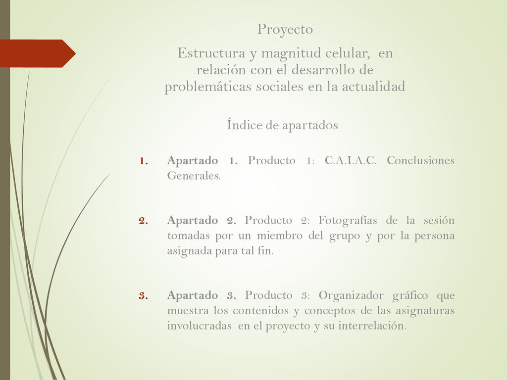 Proyecto Estructura y magnitud celular, en relación con el desarrollo de problemáticas sociales en la actualidad.