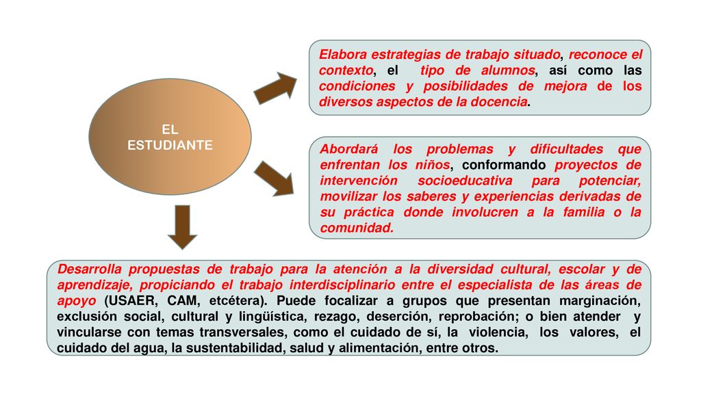 Elabora estrategias de trabajo situado, reconoce el contexto, el tipo de alumnos, así como las condiciones y posibilidades de mejora de los diversos aspectos de la docencia.