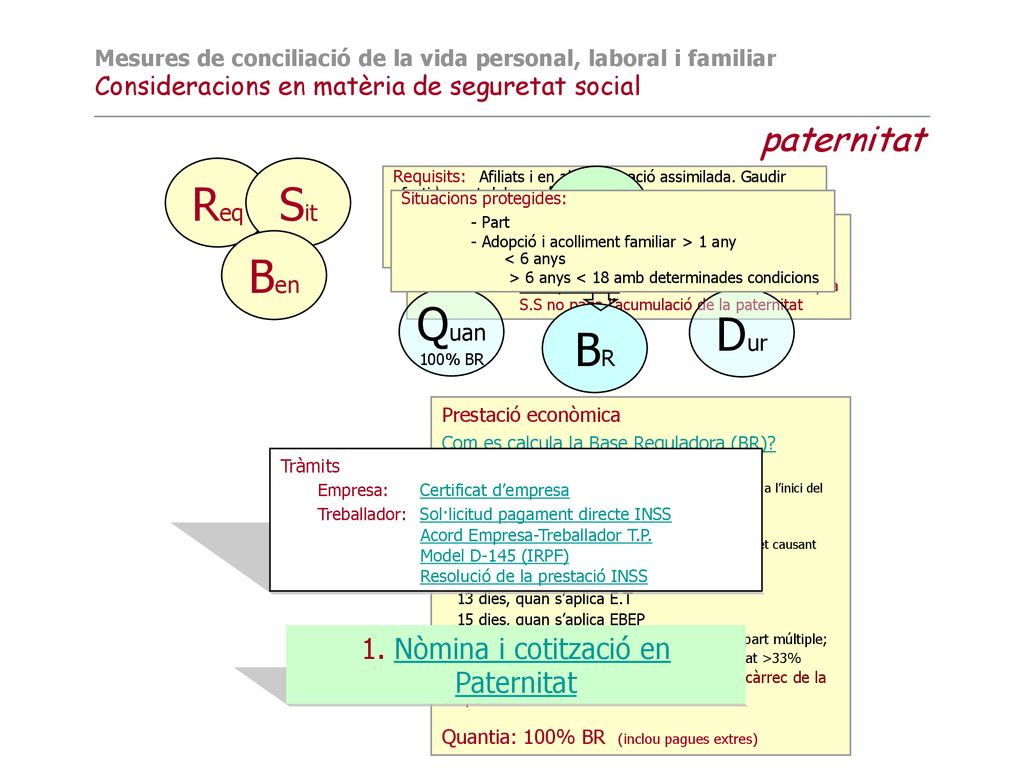 Req Sit Sub Ben Quan BR Dur 1. Nòmina i cotització en Paternitat