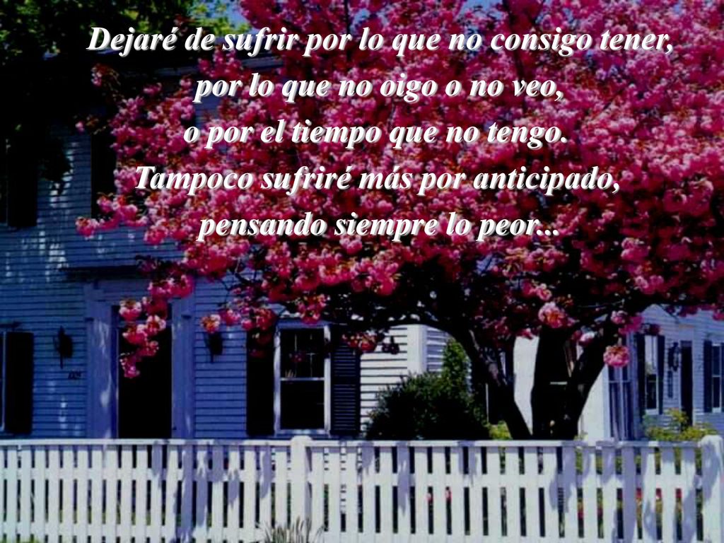 Dejaré de sufrir por lo que no consigo tener,