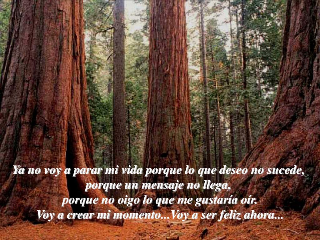 Ya no voy a parar mi vida porque lo que deseo no sucede,