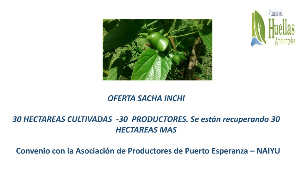 Convenio con la Asociación de Productores de Puerto Esperanza – NAIYU