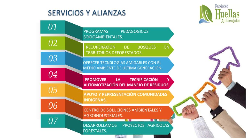 SERVICIOS Y ALIANZAS 01. PROGRAMAS PEDAGOGICOS SOCIOAMBIENTALES. 02. RECUPERACIÓN DE BOSQUES EN TERRITORIOS DEFORESTADOS.