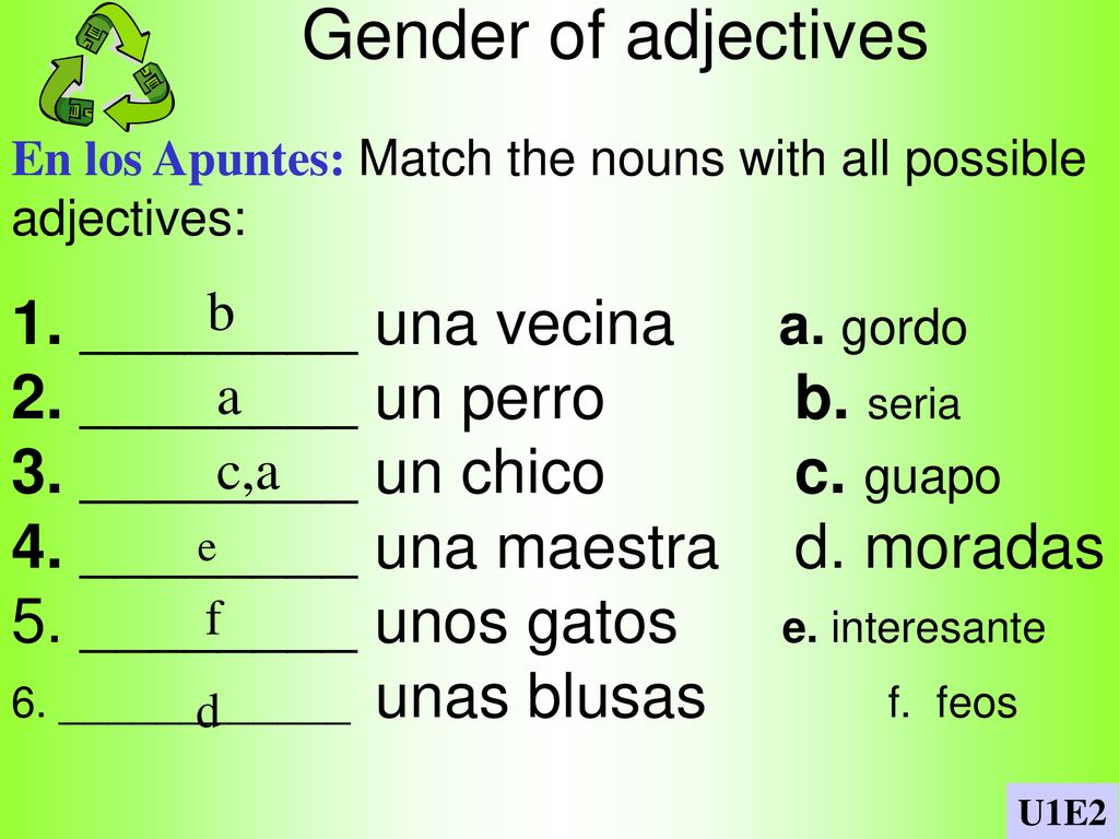 Gender of adjectives 1. ________ una vecina a. gordo