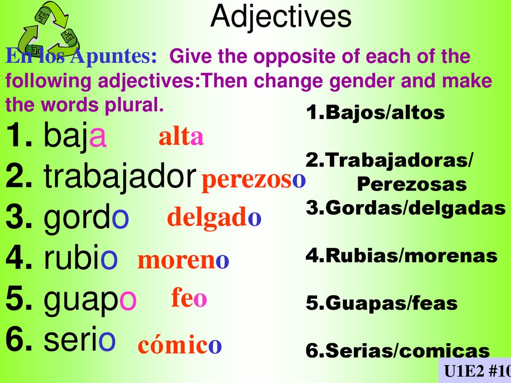 1. baja 2. trabajador 3. gordo 4. rubio 5. guapo 6. serio Adjectives