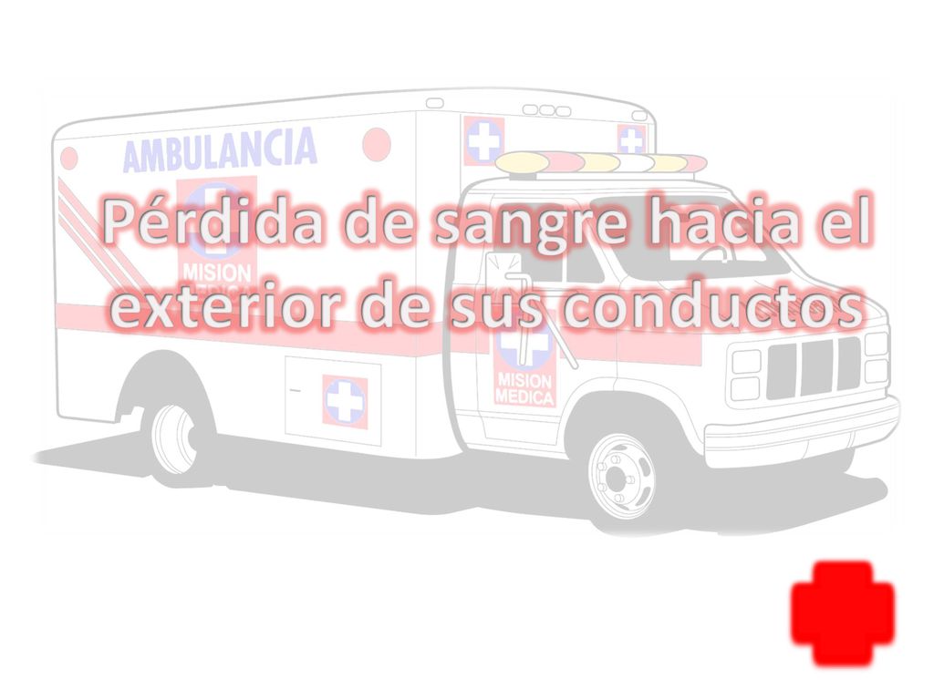 Pérdida de sangre hacia el exterior de sus conductos