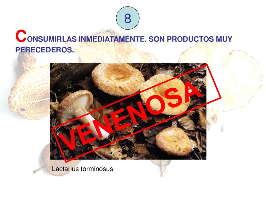 VENENOSA CONSUMIRLAS INMEDIATAMENTE. SON PRODUCTOS MUY PERECEDEROS. 8