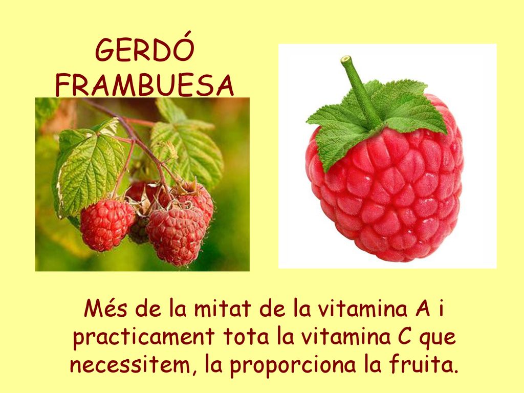 GERDÓ FRAMBUESA Més de la mitat de la vitamina A i practicament tota la vitamina C que necessitem, la proporciona la fruita.