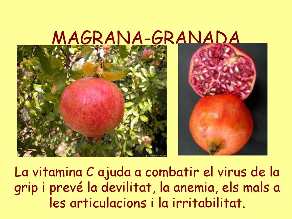 MAGRANA-GRANADA La vitamina C ajuda a combatir el virus de la grip i prevé la devilitat, la anemia, els mals a les articulacions i la irritabilitat.