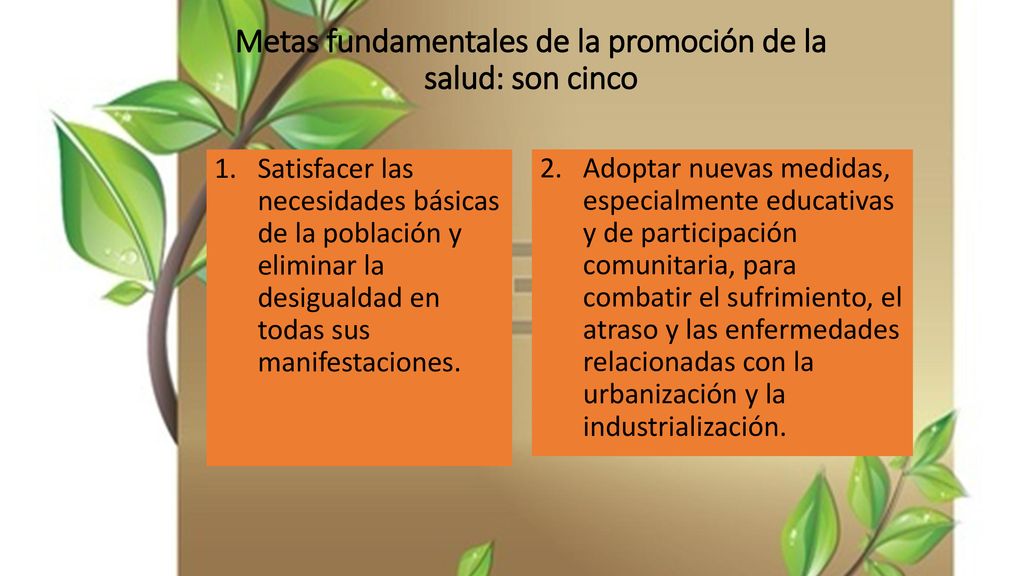 Metas fundamentales de la promoción de la salud: son cinco