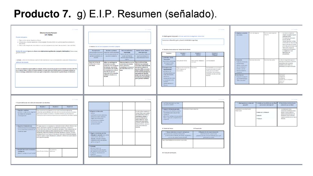 Producto 7. g) E.I.P. Resumen (señalado).