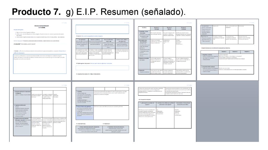 Producto 7. g) E.I.P. Resumen (señalado).
