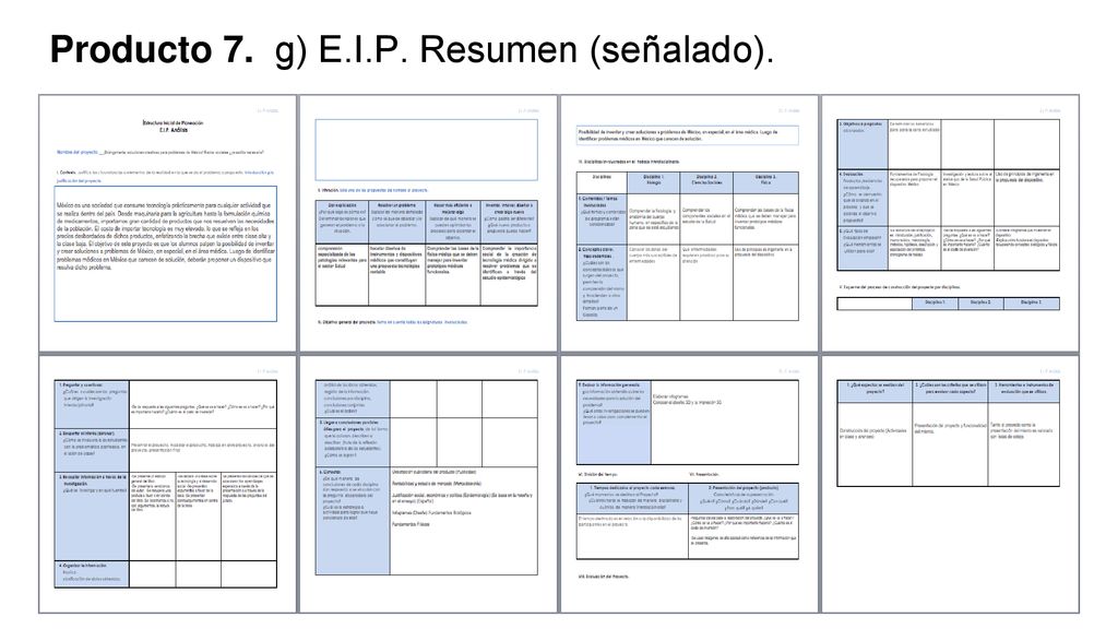 Producto 7. g) E.I.P. Resumen (señalado).