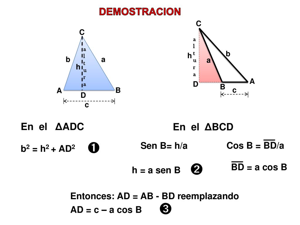 DEMOSTRACION En el ΔADC En el ΔBCD b2 = h2 + AD2 ➊ Sen B= h/a