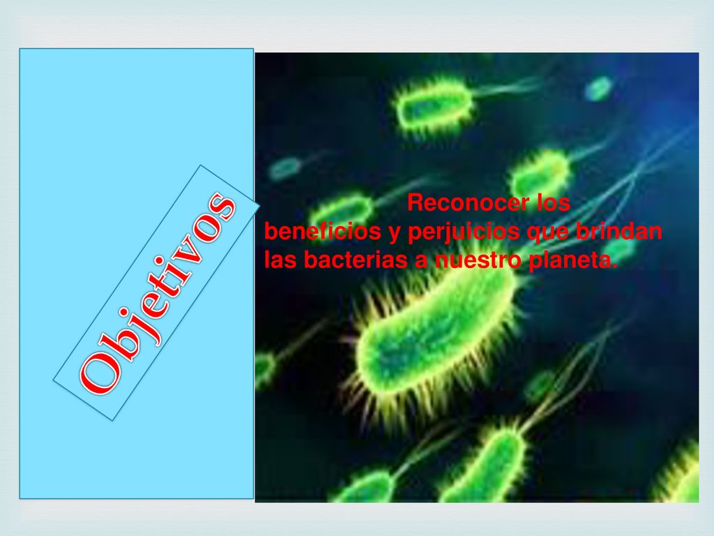 Reconocer los beneficios y perjuicios que brindan las bacterias a nuestro planeta.