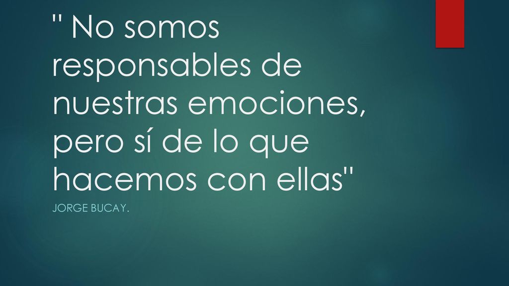 No somos responsables de nuestras emociones, pero sí de lo que hacemos con ellas