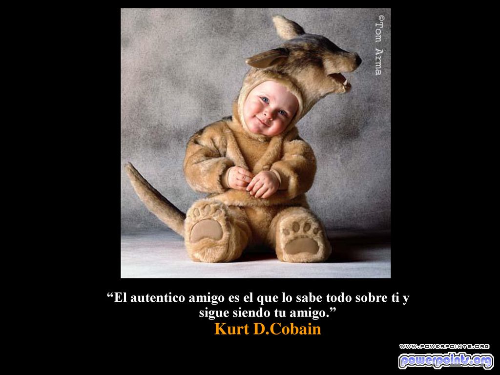 El autentico amigo es el que lo sabe todo sobre ti y sigue siendo tu amigo. Kurt D.Cobain