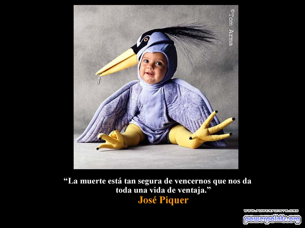 La muerte está tan segura de vencernos que nos da toda una vida de ventaja. José Piquer