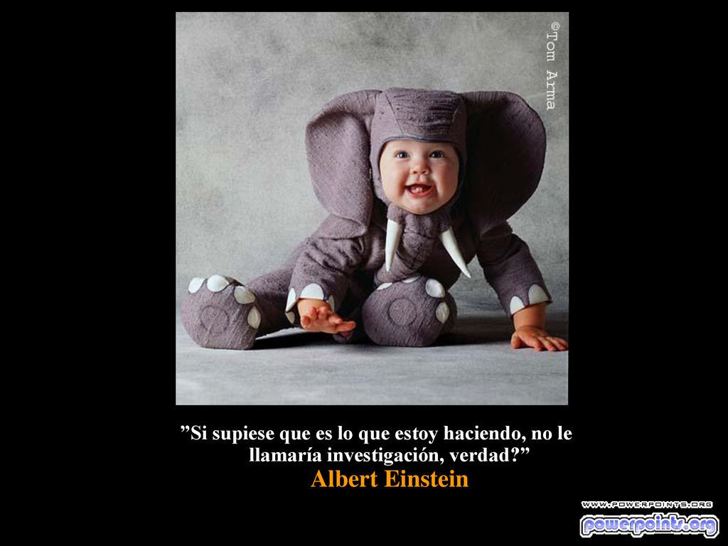Si supiese que es lo que estoy haciendo, no le llamaría investigación, verdad Albert Einstein