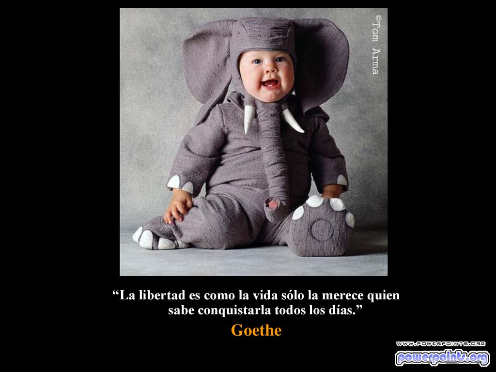 La libertad es como la vida sólo la merece quien sabe conquistarla todos los días.