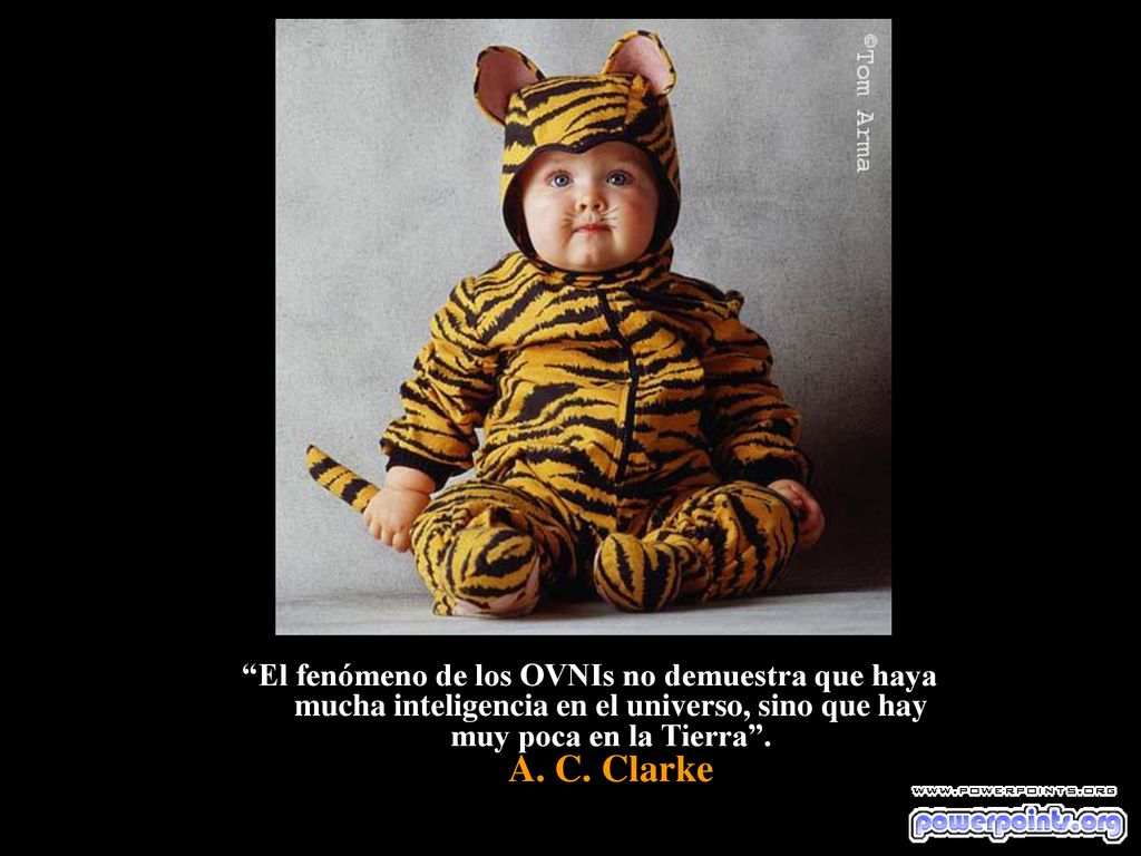 El fenómeno de los OVNIs no demuestra que haya mucha inteligencia en el universo, sino que hay muy poca en la Tierra .