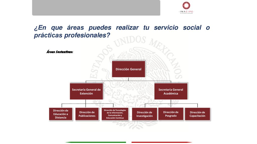 ¿En que áreas puedes realizar tu servicio social o prácticas profesionales