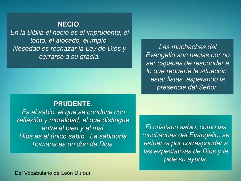 Necedad es rechazar la Ley de Dios y cerrarse a su gracia.