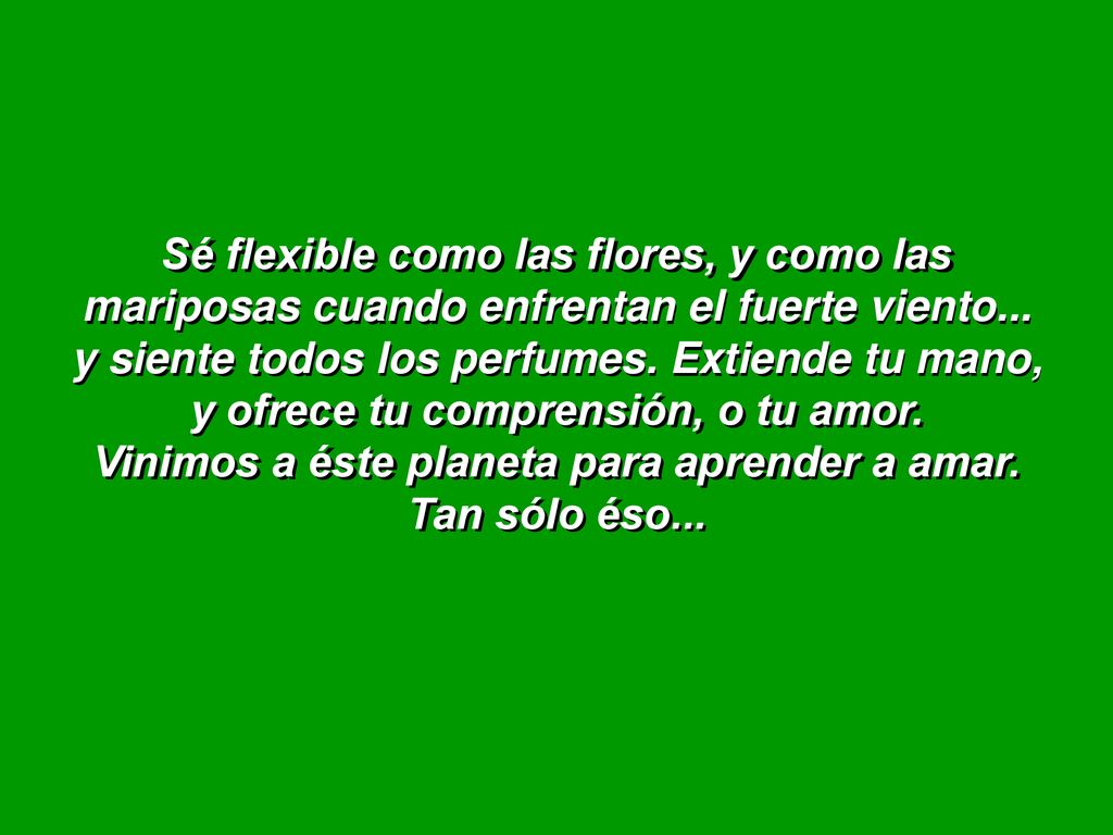 Sé flexible como las flores, y como las mariposas cuando enfrentan el fuerte viento...