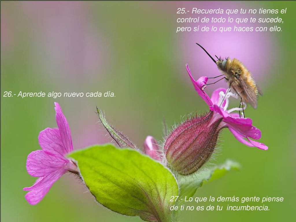 25.- Recuerda que tu no tienes el control de todo lo que te sucede, pero sí de lo que haces con ello.