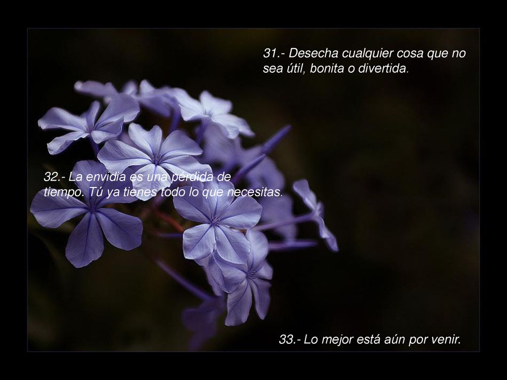 31.- Desecha cualquier cosa que no sea útil, bonita o divertida.