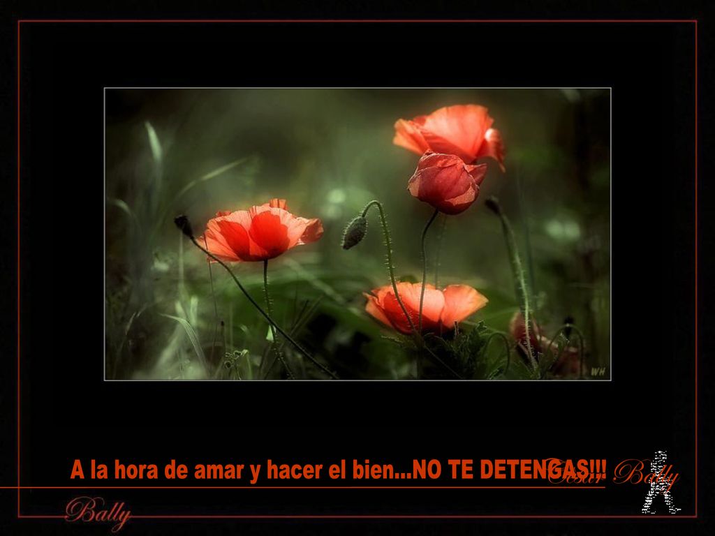 A la hora de amar y hacer el bien...NO TE DETENGAS!!!