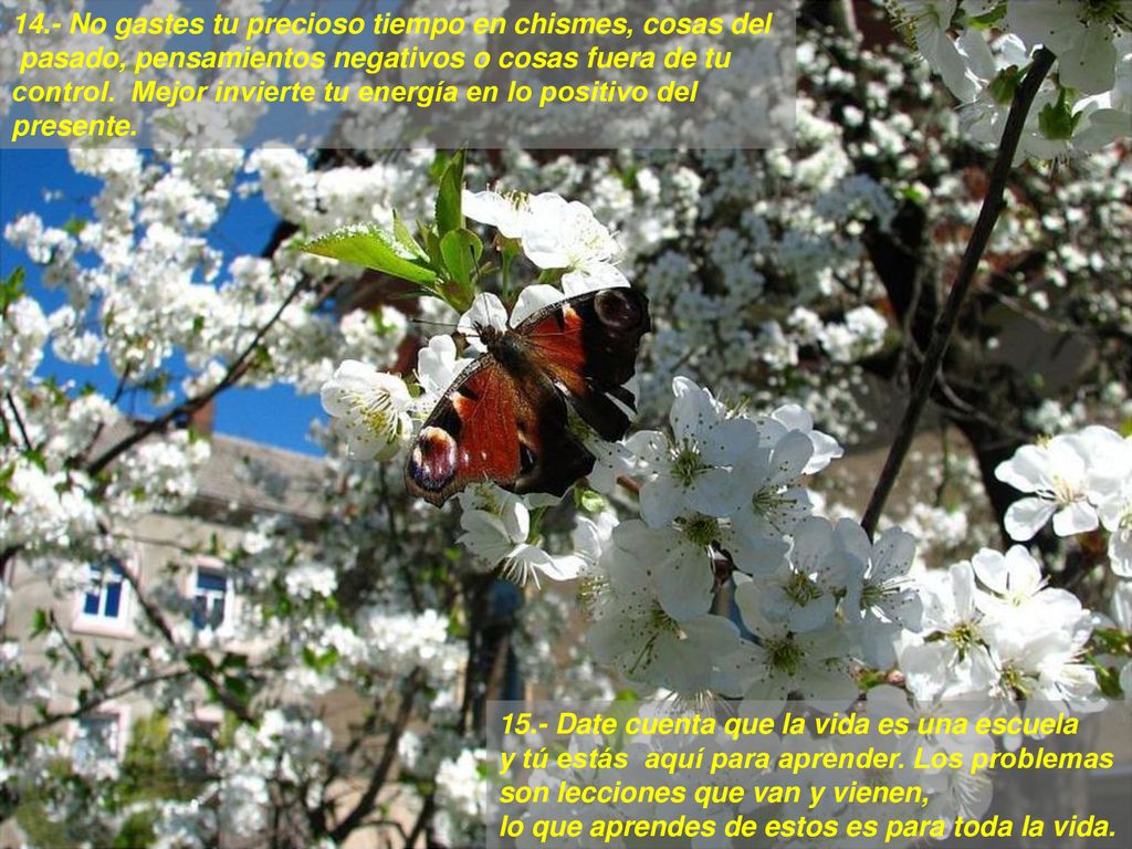 14.- No gastes tu precioso tiempo en chismes, cosas del pasado, pensamientos negativos o cosas fuera de tu control. Mejor invierte tu energía en lo positivo del presente.