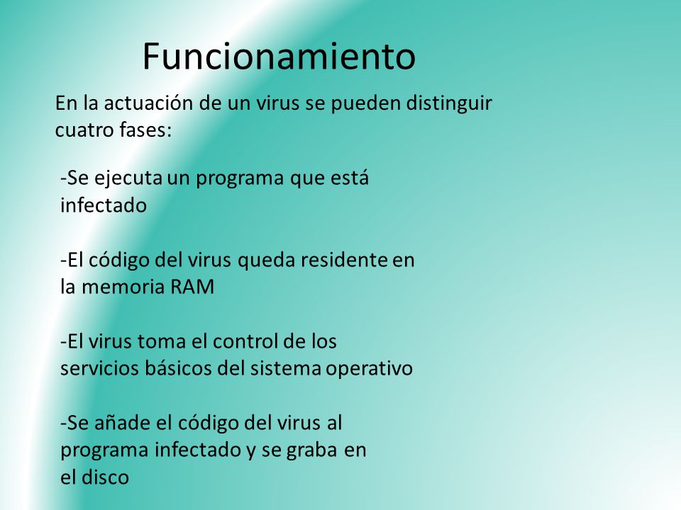 Funcionamiento En la actuación de un virus se pueden distinguir cuatro fases: -Se ejecuta un programa que está infectado.