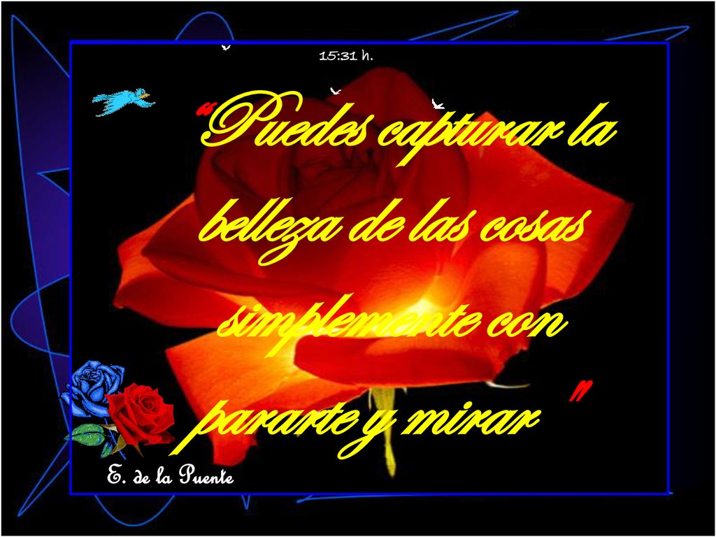 15:31 h. Puedes capturar la belleza de las cosas simplemente con pararte y mirar E. de la Puente