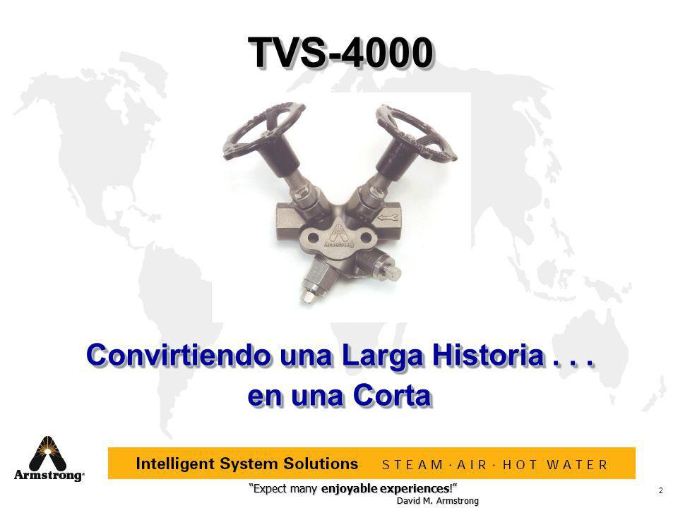 Convirtiendo una Larga Historia en una Corta