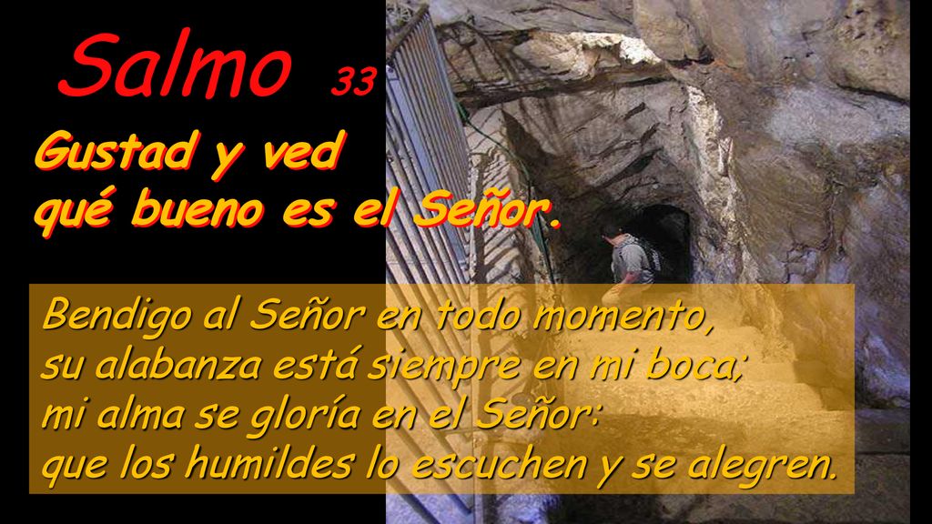 Salmo 33 Gustad y ved qué bueno es el Señor.
