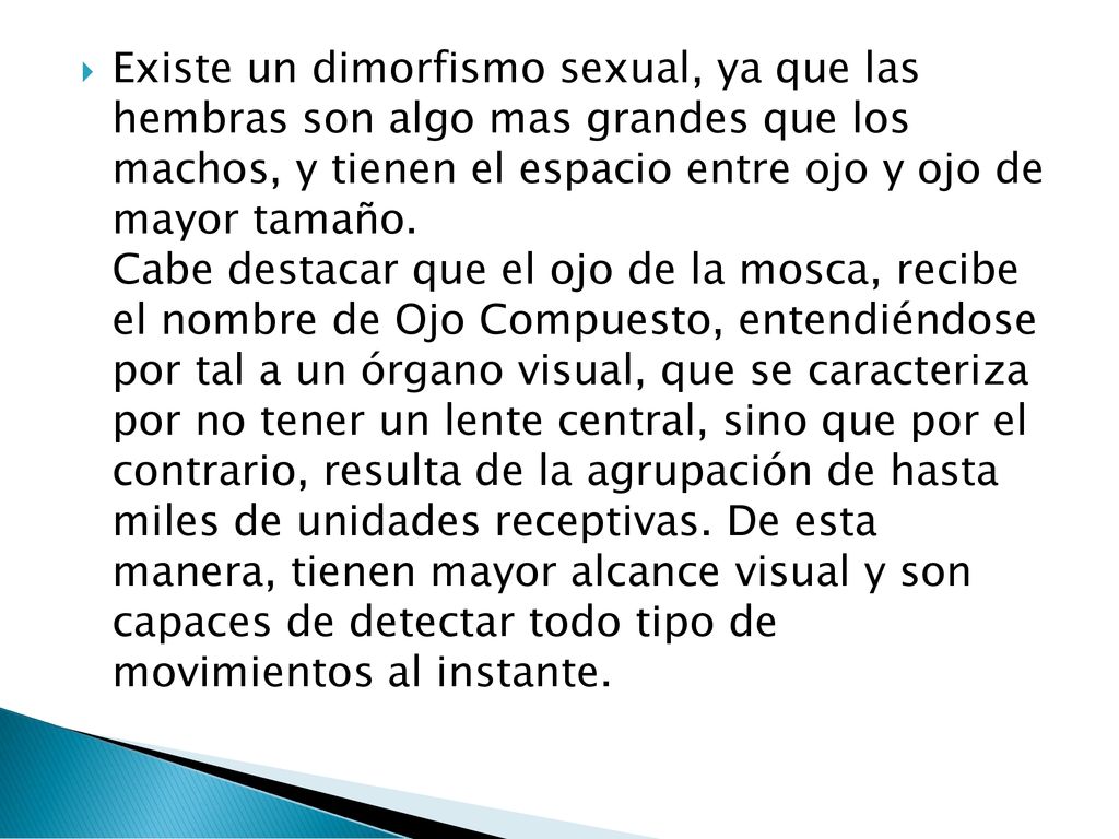 Existe un dimorfismo sexual, ya que las hembras son algo mas grandes que los machos, y tienen el espacio entre ojo y ojo de mayor tamaño.