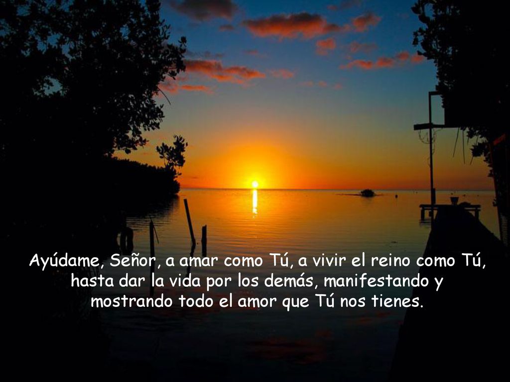 Ayúdame, Señor, a amar como Tú, a vivir el reino como Tú, hasta dar la vida por los demás, manifestando y mostrando todo el amor que Tú nos tienes.