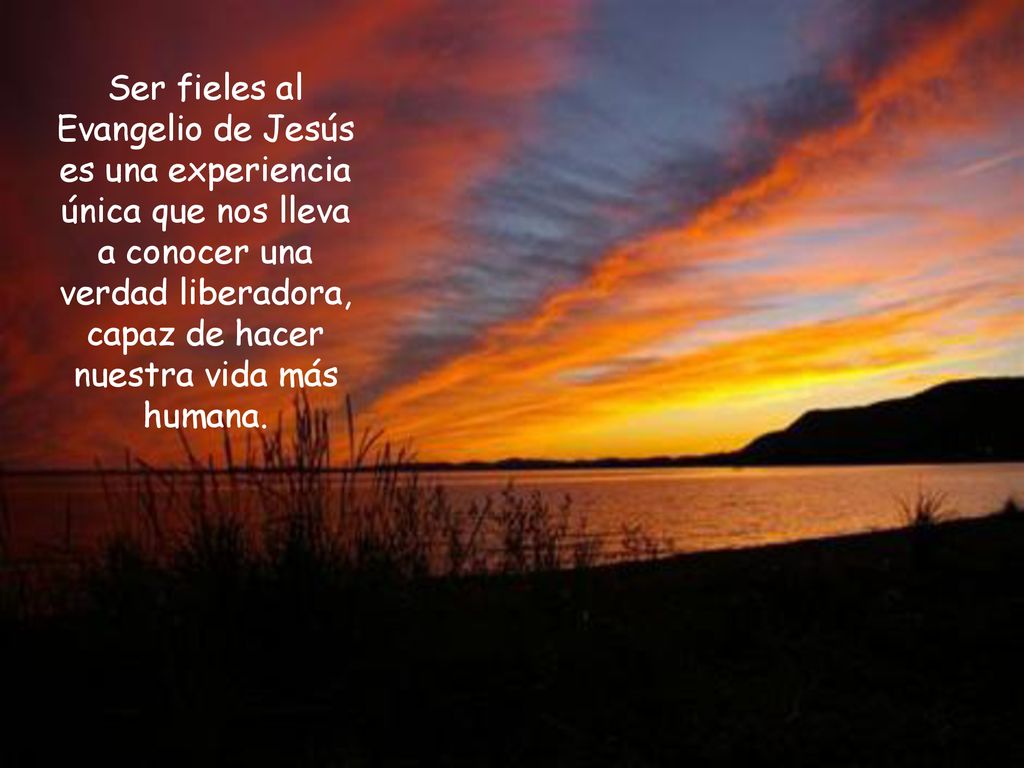 Ser fieles al Evangelio de Jesús es una experiencia única que nos lleva a conocer una verdad liberadora, capaz de hacer nuestra vida más humana.