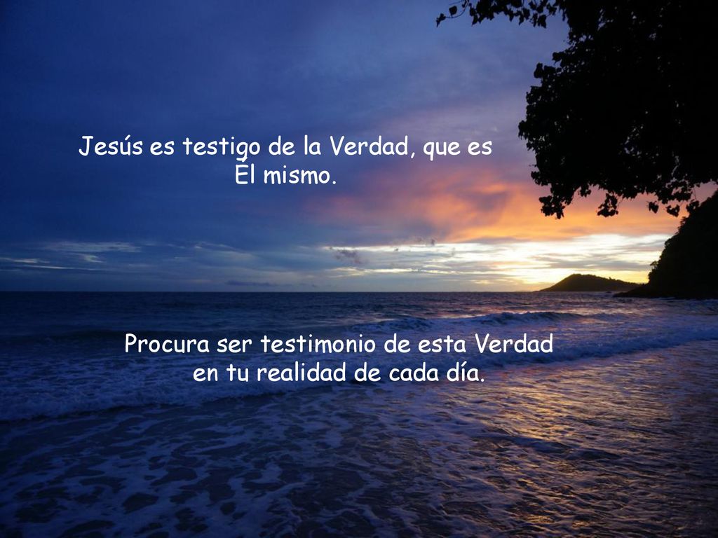Jesús es testigo de la Verdad, que es Él mismo.