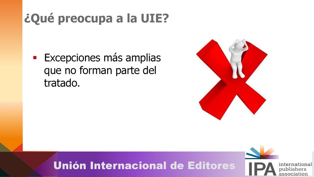 ¿Qué preocupa a la UIE Excepciones más amplias que no forman parte del tratado.