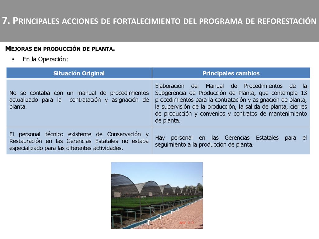 7. Principales acciones de fortalecimiento del programa de reforestación